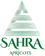 Sahra Apricots